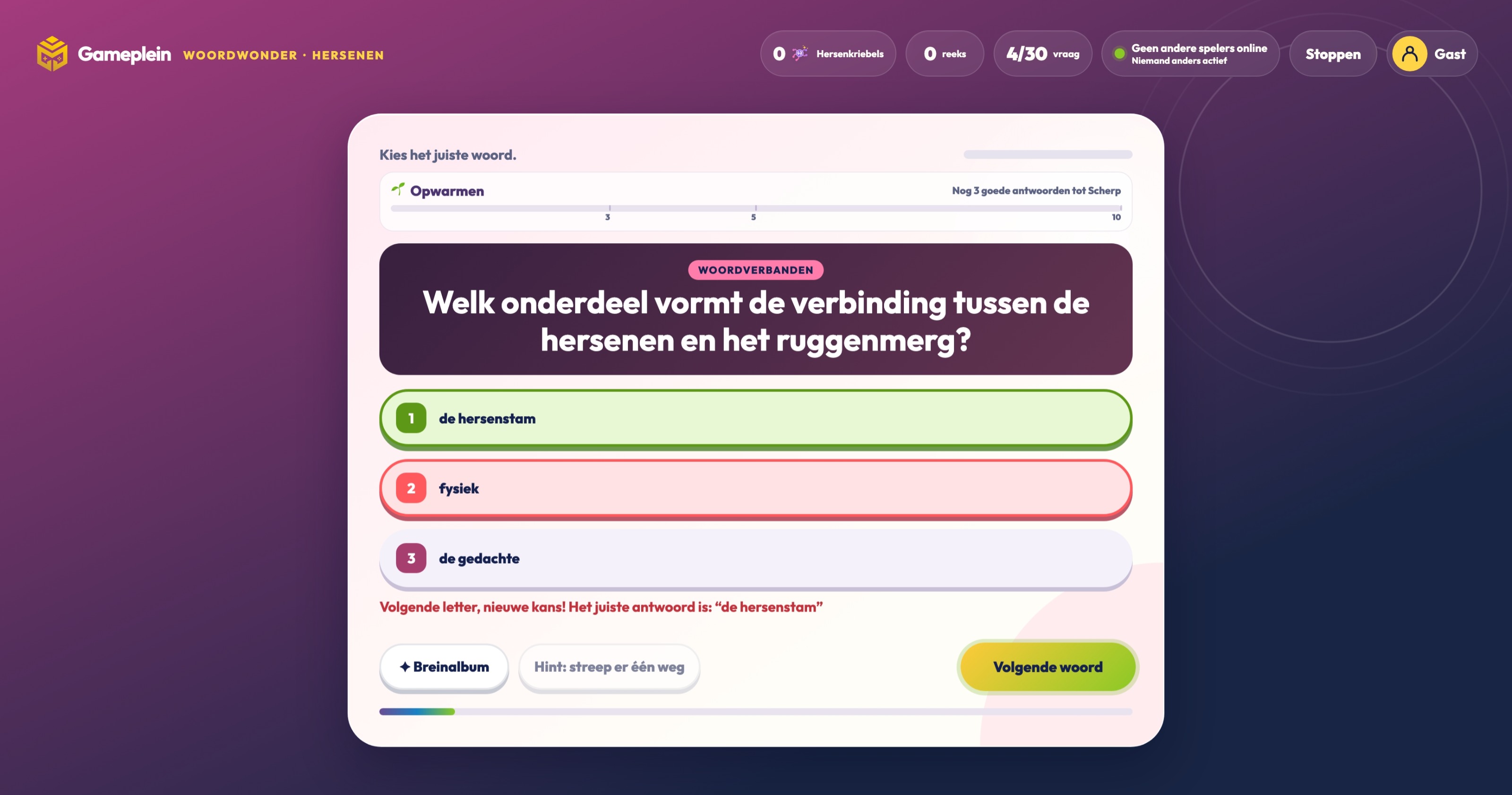 Desktopontwerp voor Gameplein