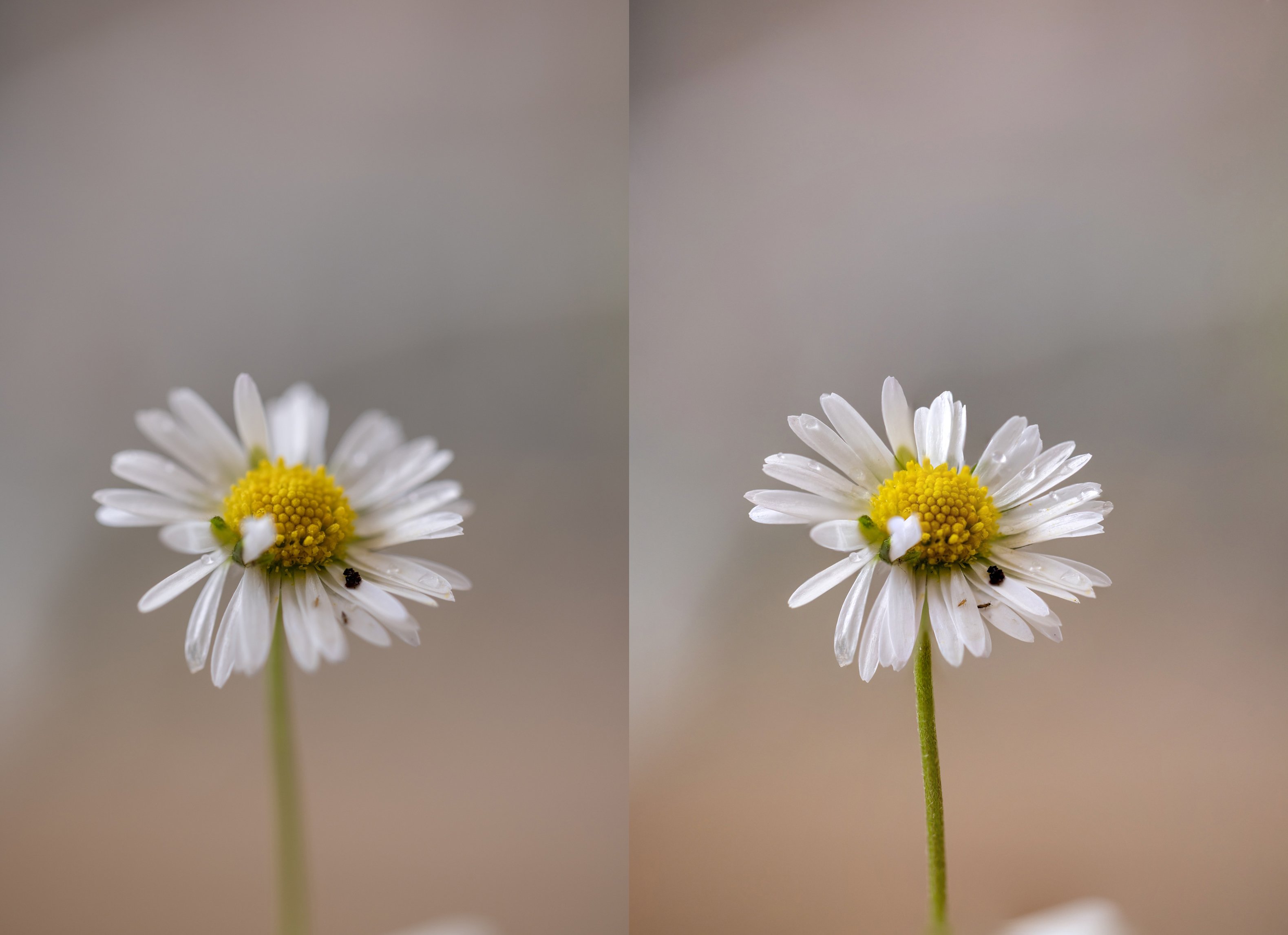 Links geen stack, rechts wel