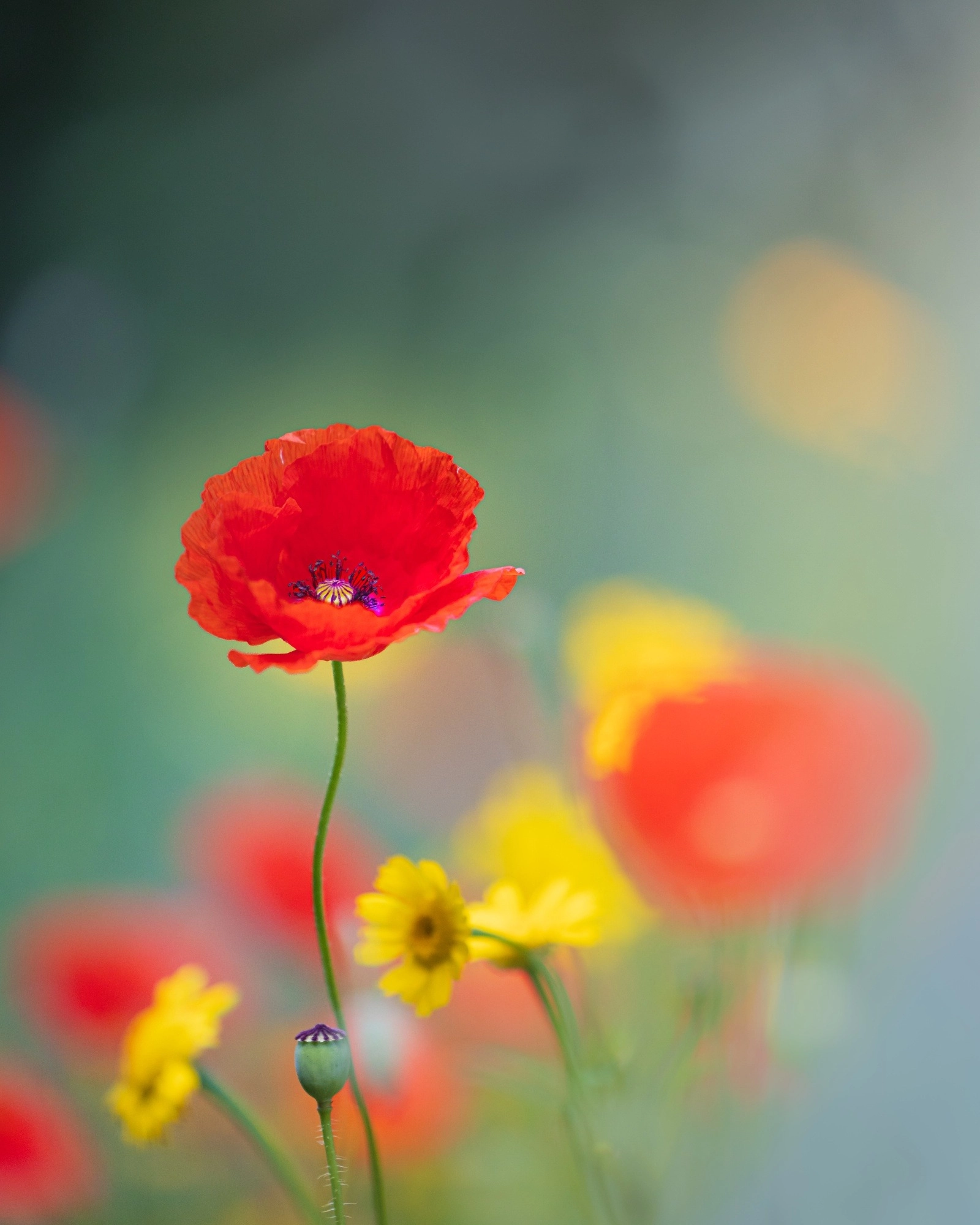 Natuur