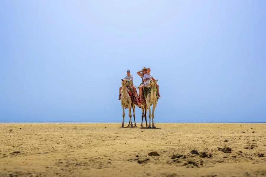 Eine besondere Tour - Während unseres Aufenthalts in Marsa Alam unternahmen wir einen besonderen Ausflug über einen durch die Ebbe freigelegten Strand. Eine Landschaft, die... - Portret - Marsa Alam