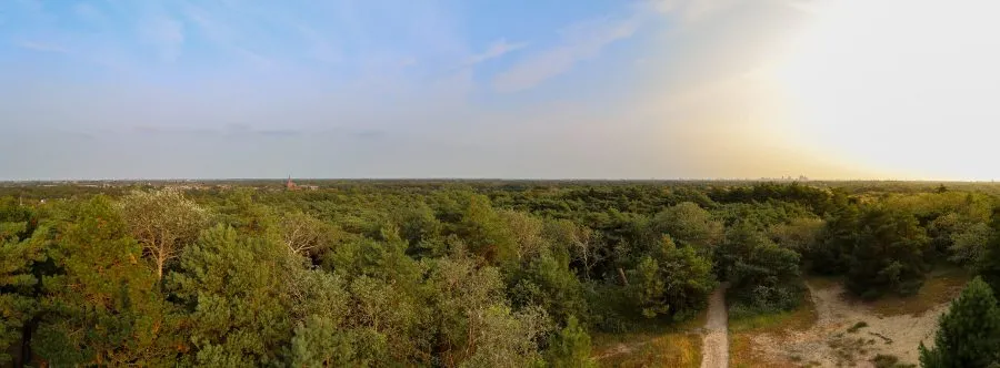 Panorama Aussicht Wassenaar - Zwischen Düne und Himmel 🌤️ Der Blick über Wassenaar weitet sich unter einem farbigen Himmel. Die Sonne sinkt sanft hinter die Dünen, während das Lich... - Landscape - Wassenaar